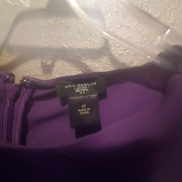 Ann Taylor Petite Pleated Front Blouse size 4P - Picture 2 of 4